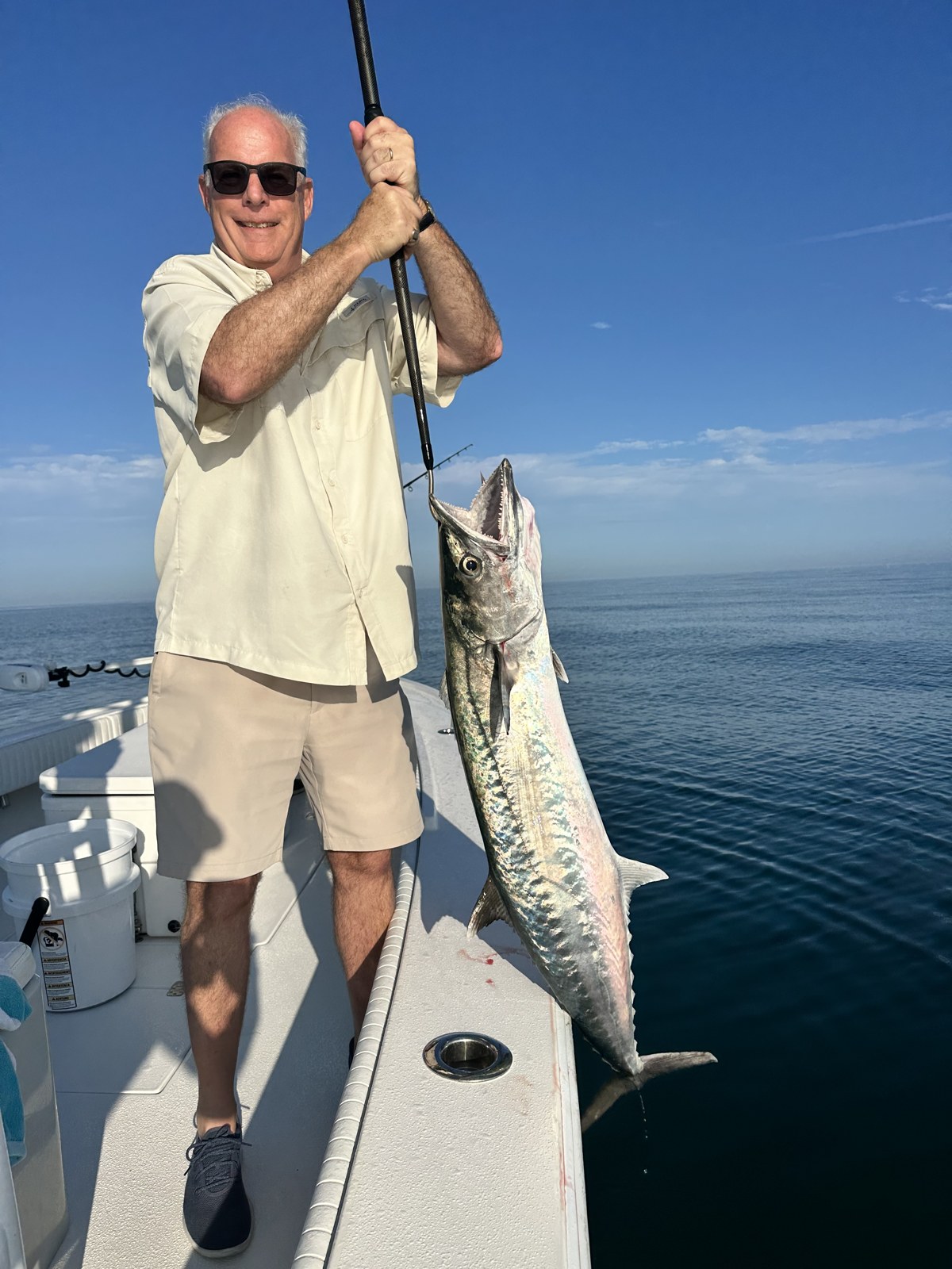 Angler lifting a kingfish on the gaff alongside the boat
