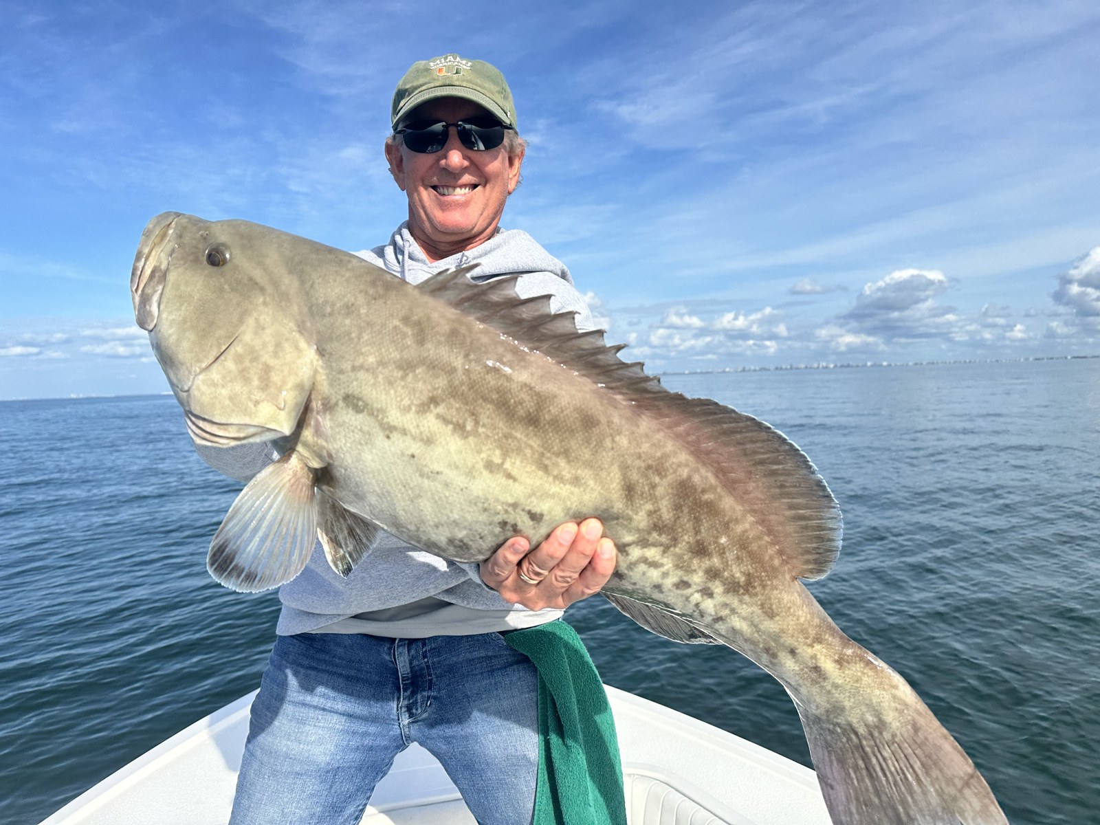 Angler hoisting a huge gag grouper offshore of Naples